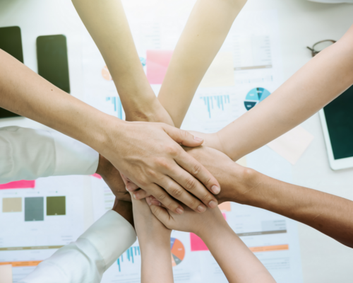 Les témoignages de nos clients