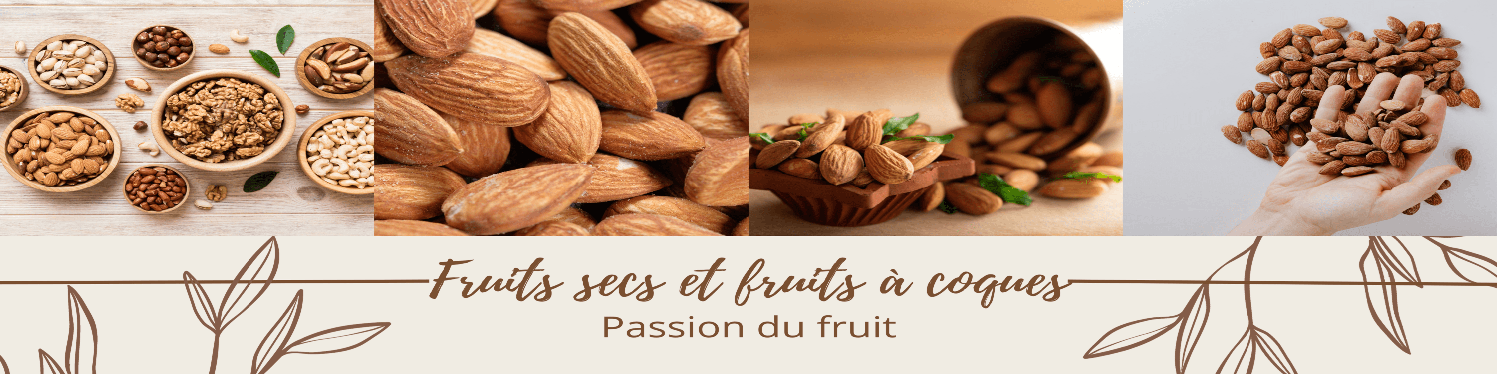 Fruits secs et fruits à coques image